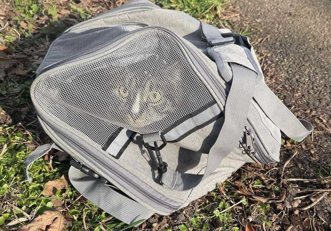Achtergelate gedumpte dieren - dierenambulance
