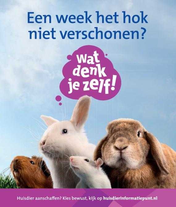 wat denk je zelf konijn